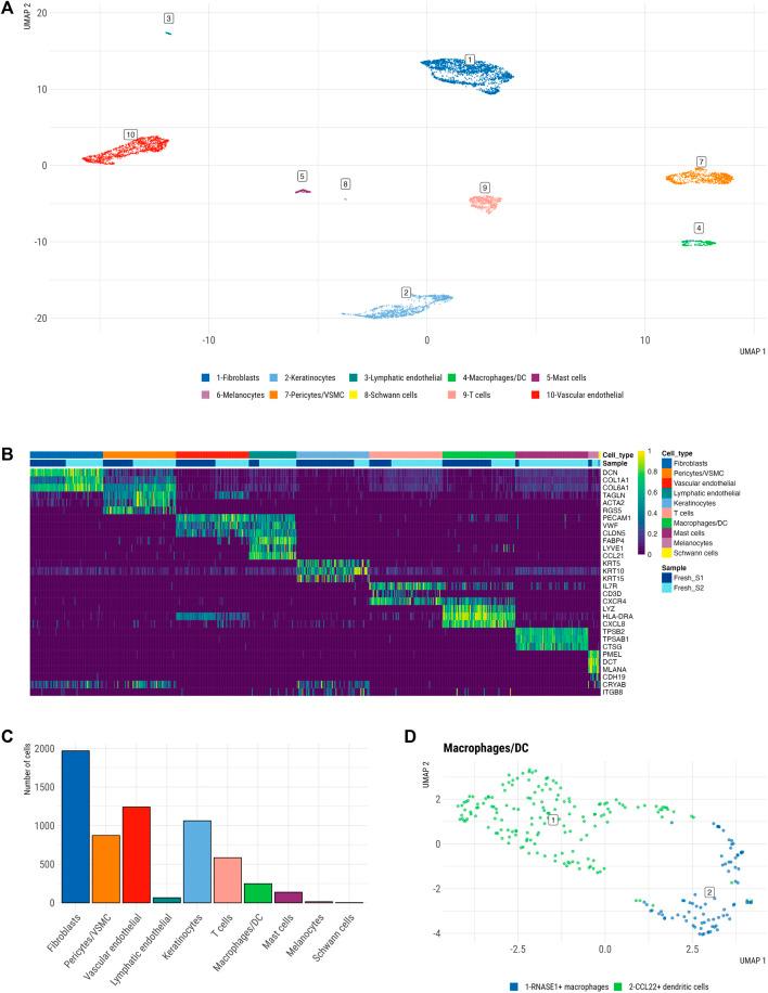 https://cdn.ncbi.nlm.nih.gov/pmc/blobs/c99f/9096112/9d216c10a42e/fcell-10-872688-g002.jpg