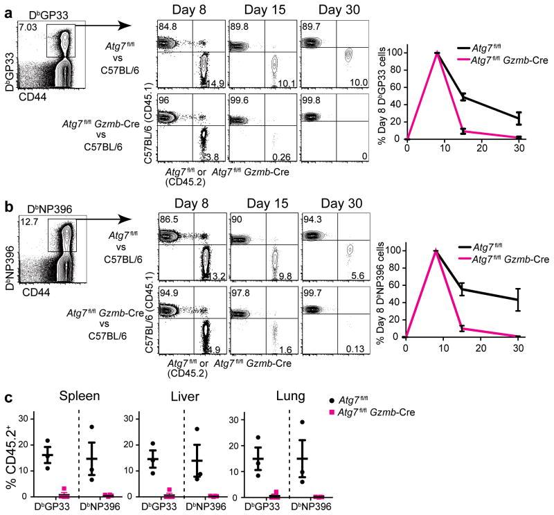 https://cdn.ncbi.nlm.nih.gov/pmc/blobs/c9a0/4232981/157060f07c5b/nihms633106f6.jpg