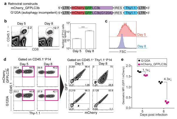 https://cdn.ncbi.nlm.nih.gov/pmc/blobs/c9a0/4232981/35067417e1c6/nihms633106f3.jpg