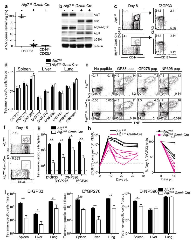 https://cdn.ncbi.nlm.nih.gov/pmc/blobs/c9a0/4232981/ff1f7822f738/nihms633106f4.jpg