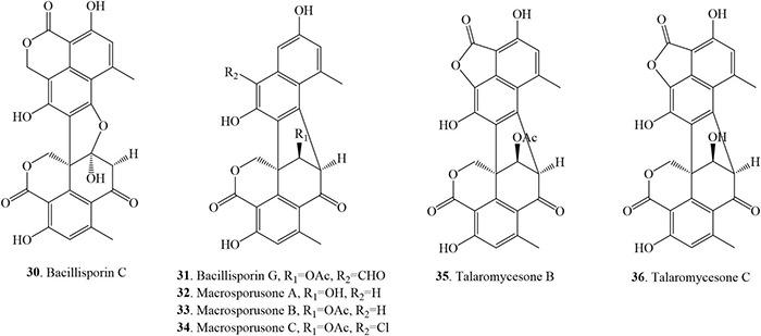 https://cdn.ncbi.nlm.nih.gov/pmc/blobs/c9a0/8727740/06cad1a8e71c/fmicb-12-766440-g006.jpg