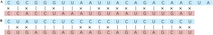 https://cdn.ncbi.nlm.nih.gov/pmc/blobs/c9a1/11032603/1fc214299a12/12859_2024_5780_Fig6_HTML.jpg