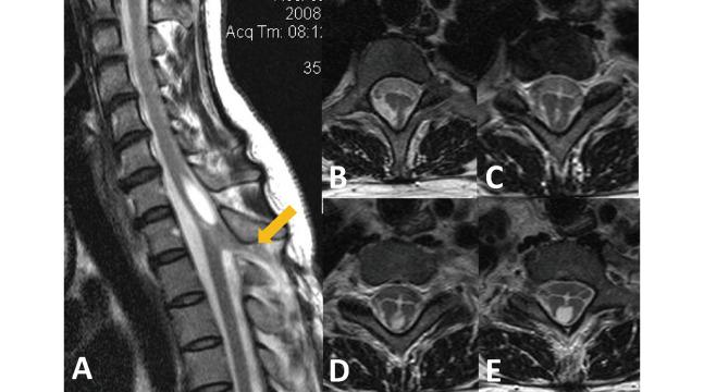 https://cdn.ncbi.nlm.nih.gov/pmc/blobs/c9a2/7548243/d539dd48a830/2186-3326-82-0567-g002.jpg