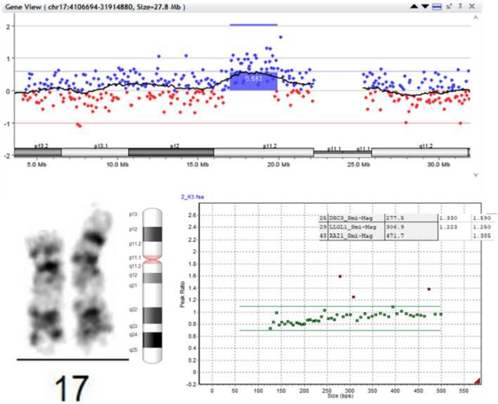 https://cdn.ncbi.nlm.nih.gov/pmc/blobs/c9a4/10960457/d121a8e0ad06/13039_2024_673_Fig5_HTML.jpg