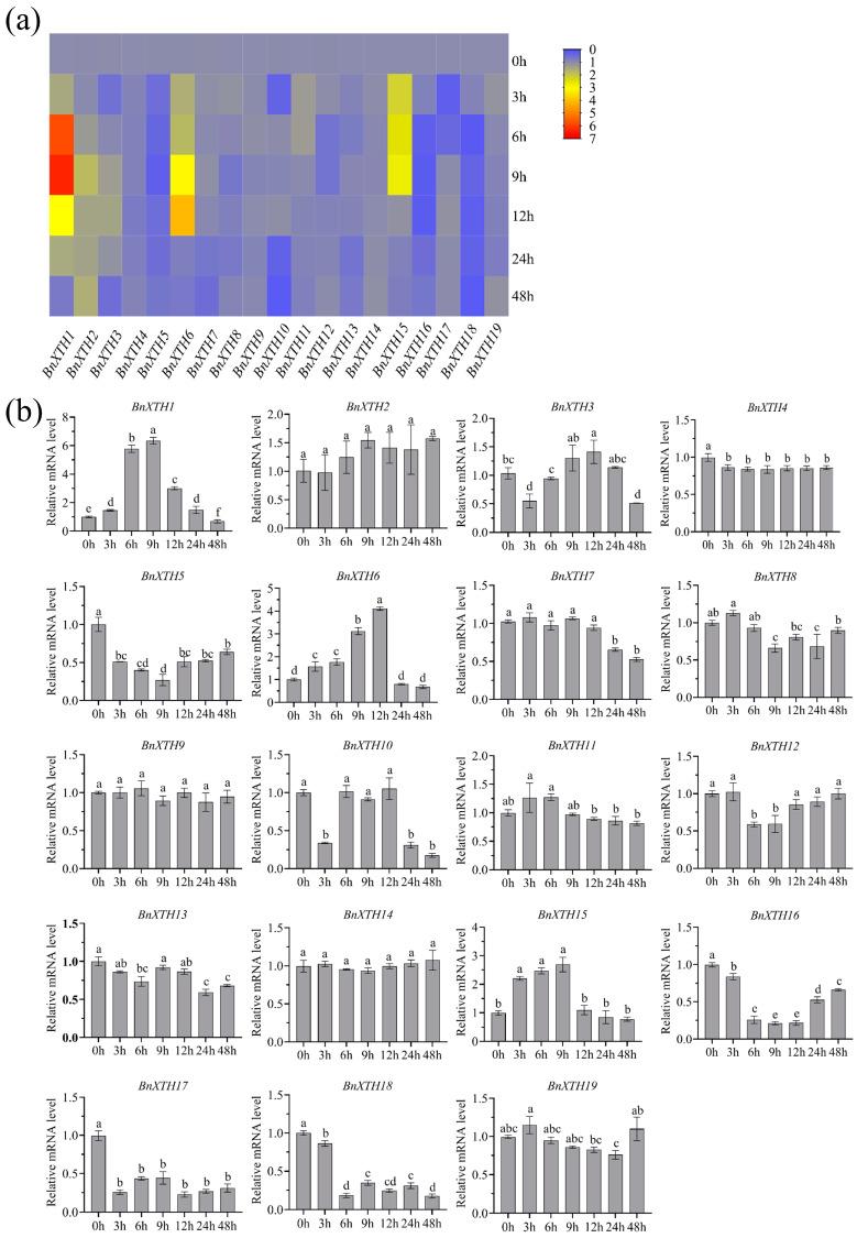 https://cdn.ncbi.nlm.nih.gov/pmc/blobs/c9a5/9785722/2f549d355097/ijms-23-16104-g006.jpg