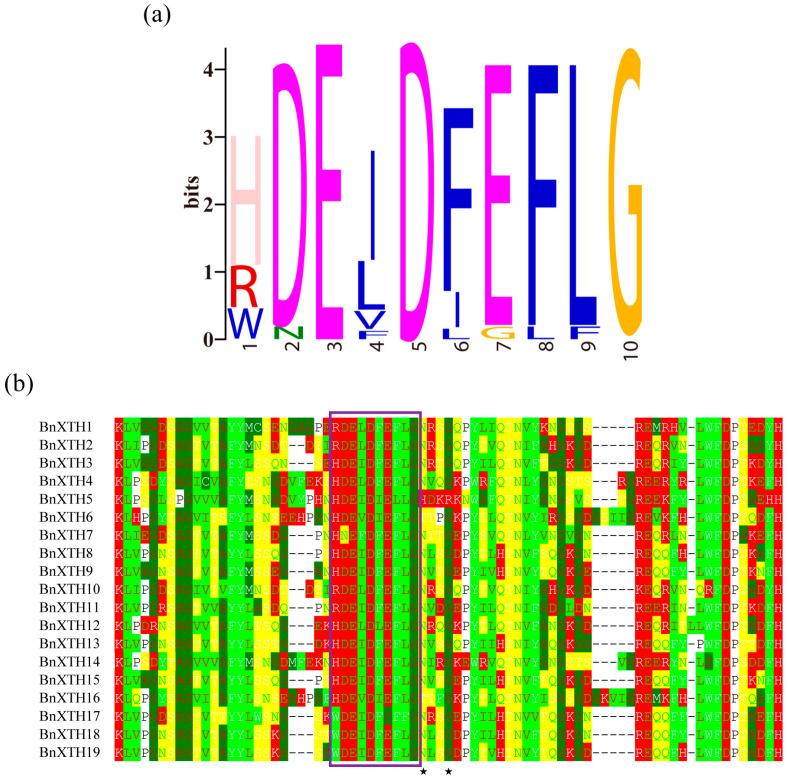 https://cdn.ncbi.nlm.nih.gov/pmc/blobs/c9a5/9785722/ac436b4e354a/ijms-23-16104-g002.jpg