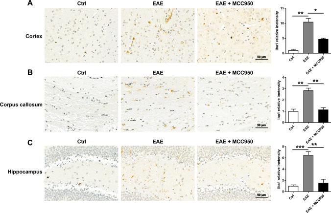 https://cdn.ncbi.nlm.nih.gov/pmc/blobs/c9a6/10896958/526ec0c5d8d4/12035_2023_3618_Fig6_HTML.jpg