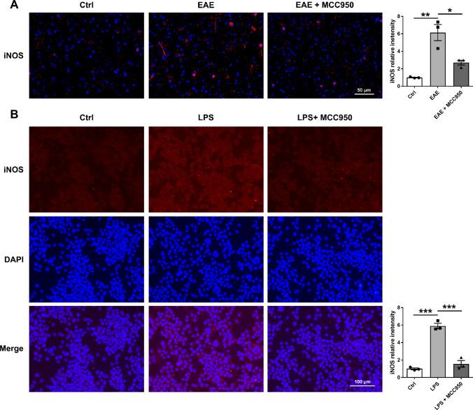 https://cdn.ncbi.nlm.nih.gov/pmc/blobs/c9a6/10896958/97cf0cfaafa5/12035_2023_3618_Fig7_HTML.jpg