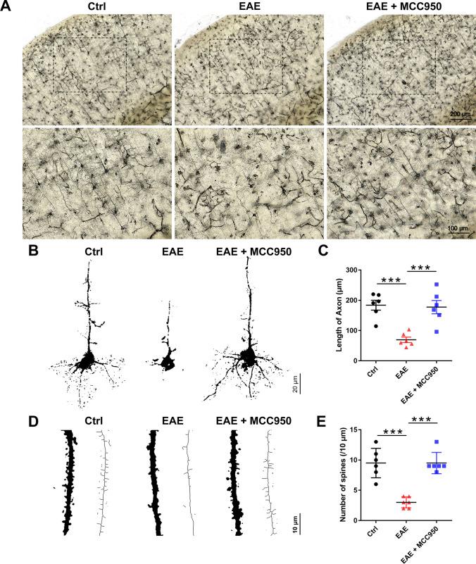 https://cdn.ncbi.nlm.nih.gov/pmc/blobs/c9a6/10896958/d10138d8a988/12035_2023_3618_Fig2_HTML.jpg