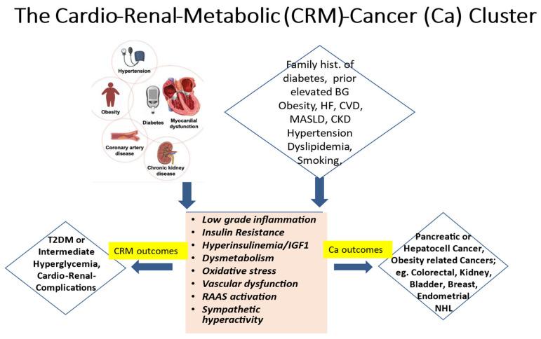 https://cdn.ncbi.nlm.nih.gov/pmc/blobs/c9a6/12025391/df1a3a5b21d2/cells-14-00564-g001.jpg