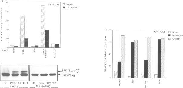 https://cdn.ncbi.nlm.nih.gov/pmc/blobs/c9a6/452103/f669b8016ba2/emboj00015-0161-a.jpg