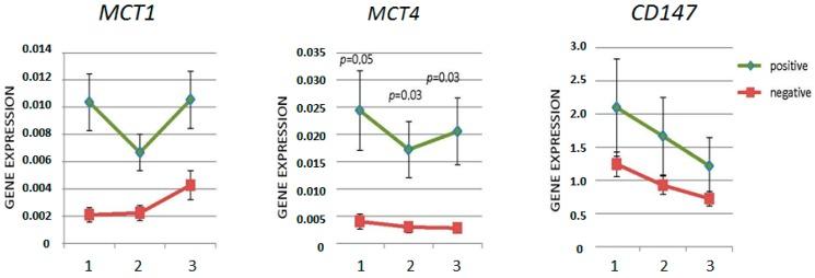 https://cdn.ncbi.nlm.nih.gov/pmc/blobs/c9a7/5412261/105354e33ce5/ijms-18-00170-g002.jpg