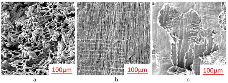 https://cdn.ncbi.nlm.nih.gov/pmc/blobs/c9a7/9861276/8bda354105cd/materials-16-00510-g004.jpg