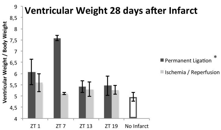 https://cdn.ncbi.nlm.nih.gov/pmc/blobs/c9a8/5578060/2e3179799bfb/ijms-18-01670-g002.jpg