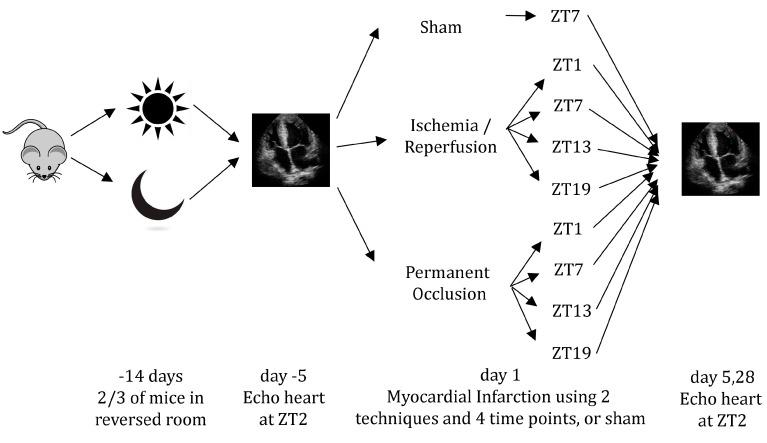 https://cdn.ncbi.nlm.nih.gov/pmc/blobs/c9a8/5578060/7928f9face3b/ijms-18-01670-g005.jpg