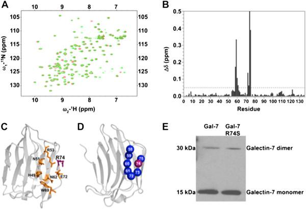 https://cdn.ncbi.nlm.nih.gov/pmc/blobs/c9aa/4228062/3cd95ae9bb2f/12885_2014_4975_Fig2_HTML.jpg