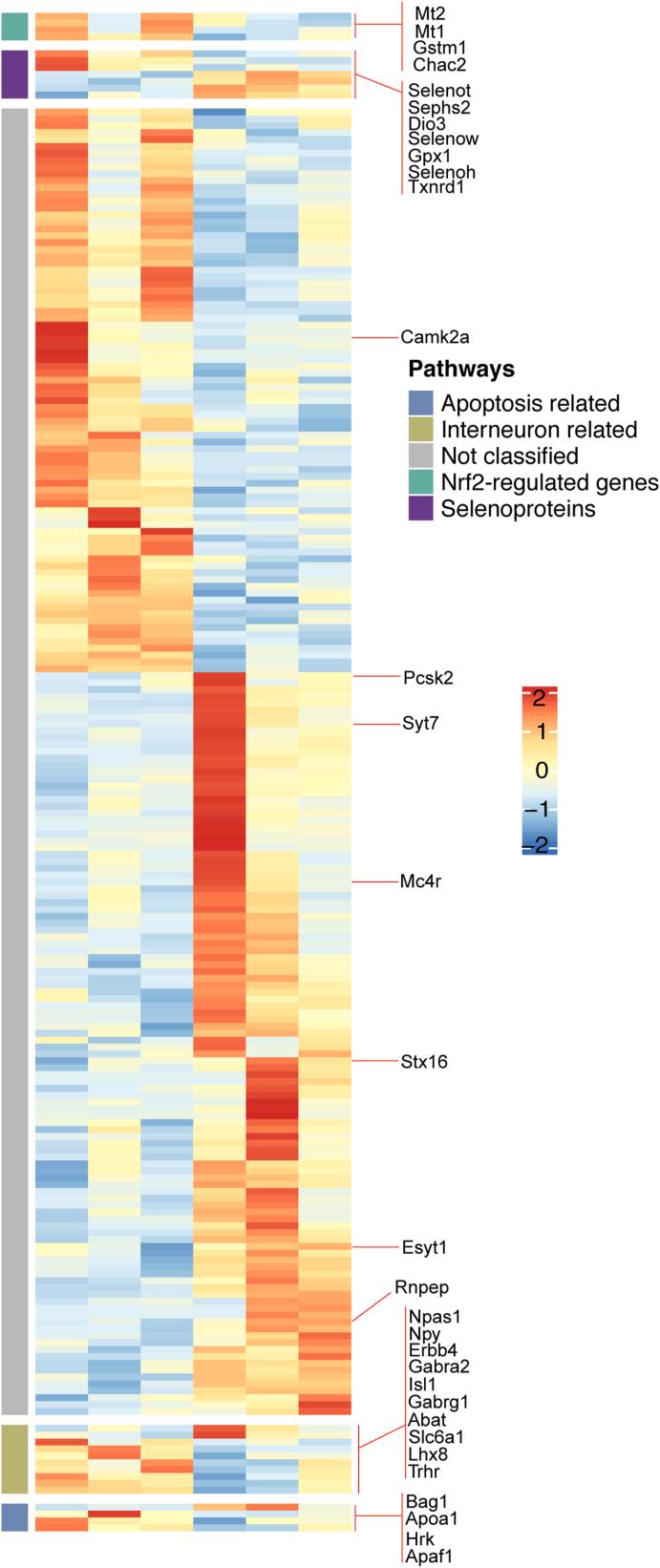 https://cdn.ncbi.nlm.nih.gov/pmc/blobs/c9aa/8605217/107495a62251/gr7.jpg