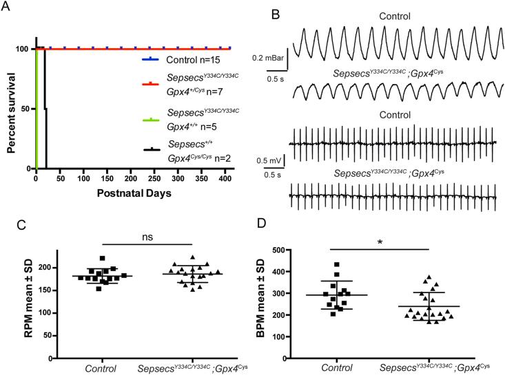 https://cdn.ncbi.nlm.nih.gov/pmc/blobs/c9aa/8605217/7850af214645/gr8.jpg