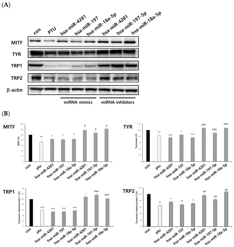 https://cdn.ncbi.nlm.nih.gov/pmc/blobs/c9af/10970293/78925d6b098c/ijms-25-03095-g009.jpg