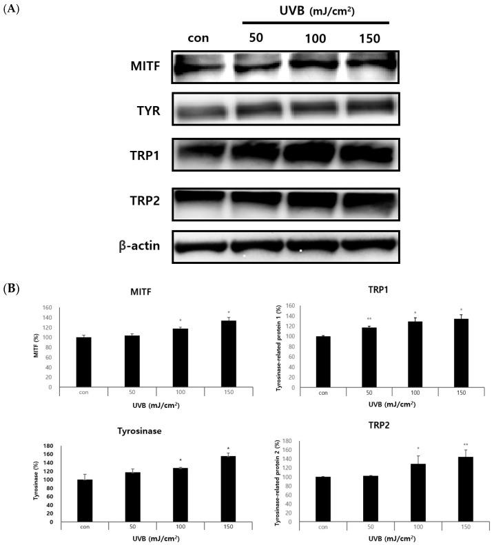 https://cdn.ncbi.nlm.nih.gov/pmc/blobs/c9af/10970293/915d6759a24e/ijms-25-03095-g005.jpg