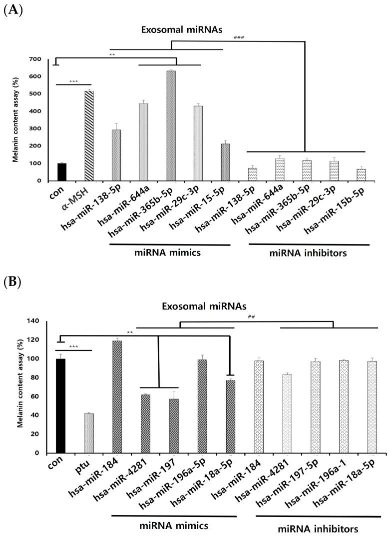 https://cdn.ncbi.nlm.nih.gov/pmc/blobs/c9af/10970293/edae8e9441ad/ijms-25-03095-g006.jpg
