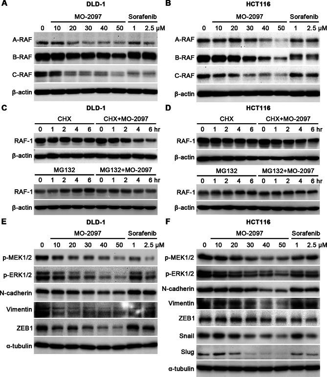 https://cdn.ncbi.nlm.nih.gov/pmc/blobs/c9b0/12216171/3ad52d623211/41598_2025_5203_Fig2_HTML.jpg