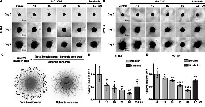 https://cdn.ncbi.nlm.nih.gov/pmc/blobs/c9b0/12216171/46aa2d85f37c/41598_2025_5203_Fig3_HTML.jpg
