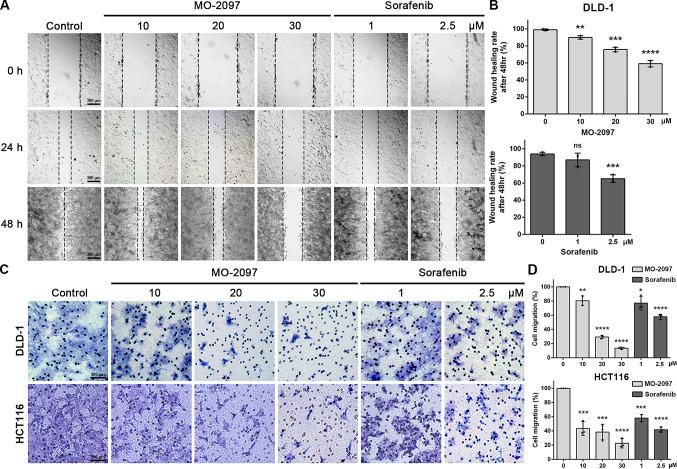 https://cdn.ncbi.nlm.nih.gov/pmc/blobs/c9b0/12216171/8404c17d9ff7/41598_2025_5203_Fig1_HTML.jpg