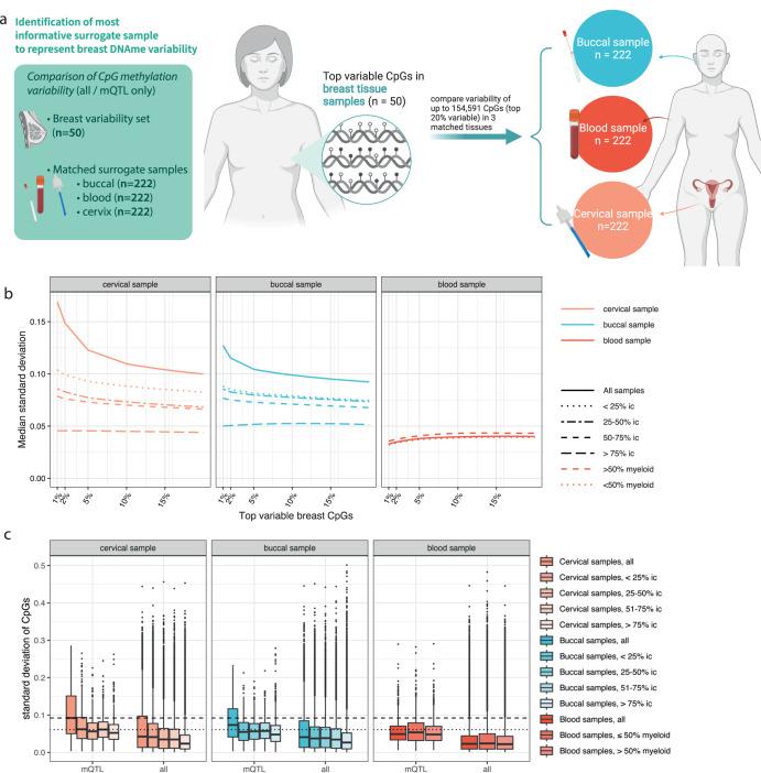 https://cdn.ncbi.nlm.nih.gov/pmc/blobs/c9b1/10533818/43594361b305/41698_2023_452_Fig1_HTML.jpg