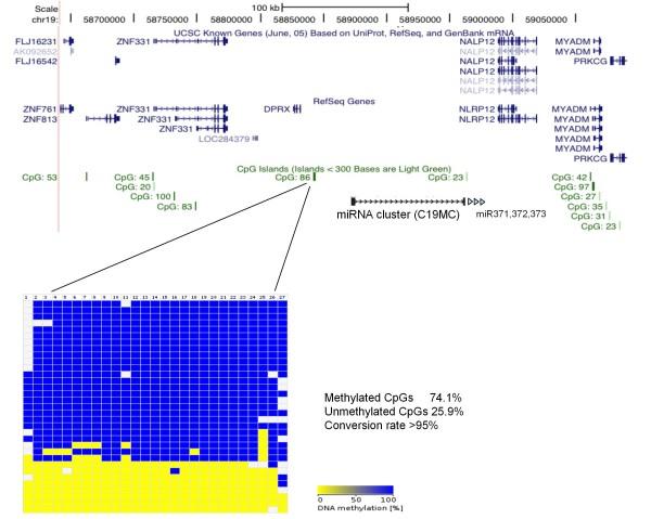 https://cdn.ncbi.nlm.nih.gov/pmc/blobs/c9b3/2871261/0d64c4dd643e/1471-2156-11-25-7.jpg