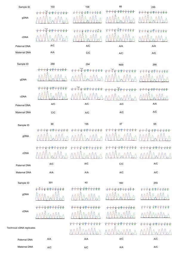 https://cdn.ncbi.nlm.nih.gov/pmc/blobs/c9b3/2871261/f0cb631e5b1f/1471-2156-11-25-9.jpg