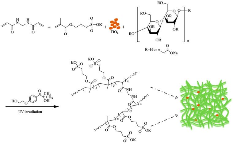 https://cdn.ncbi.nlm.nih.gov/pmc/blobs/c9b6/12197025/6790be365383/polymers-17-01653-g001.jpg
