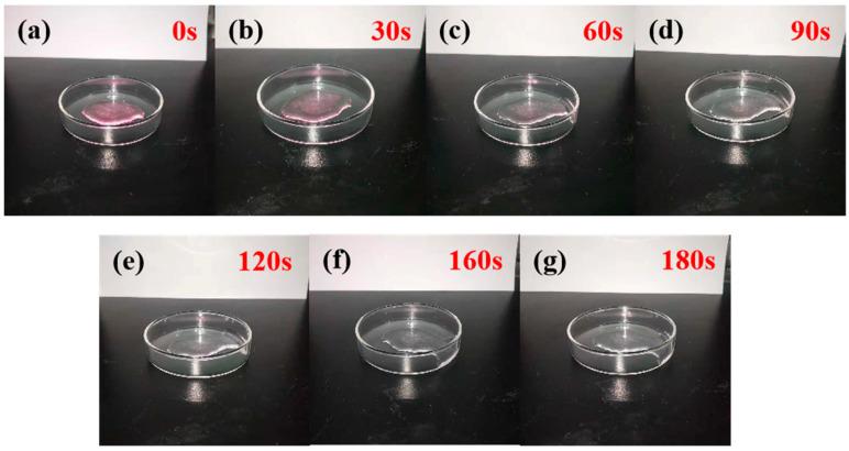 https://cdn.ncbi.nlm.nih.gov/pmc/blobs/c9b6/12197025/e793dfc59112/polymers-17-01653-g011.jpg