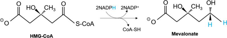 https://cdn.ncbi.nlm.nih.gov/pmc/blobs/c9ba/12057187/190a0e000400/12951_2025_3370_Sch1_HTML.jpg