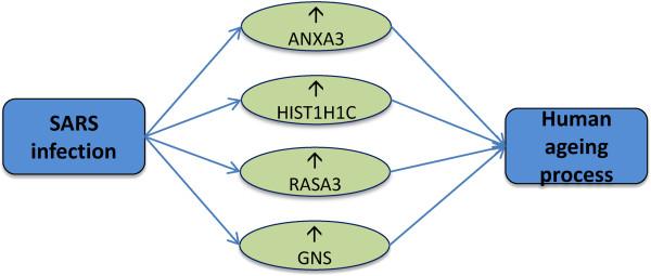 https://cdn.ncbi.nlm.nih.gov/pmc/blobs/c9bb/4363349/18f9cf6e99f0/12859_2013_6782_Fig11_HTML.jpg