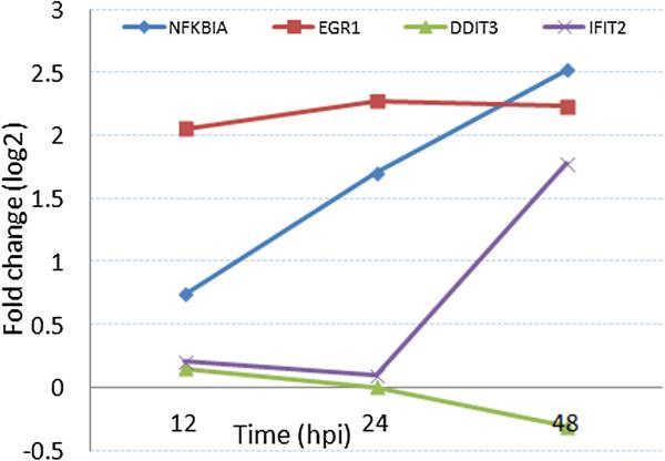 https://cdn.ncbi.nlm.nih.gov/pmc/blobs/c9bb/4363349/3323cef05bb6/12859_2013_6782_Fig15_HTML.jpg