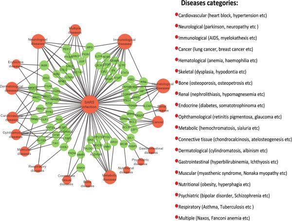 https://cdn.ncbi.nlm.nih.gov/pmc/blobs/c9bb/4363349/d3a5a94f824a/12859_2013_6782_Fig1_HTML.jpg