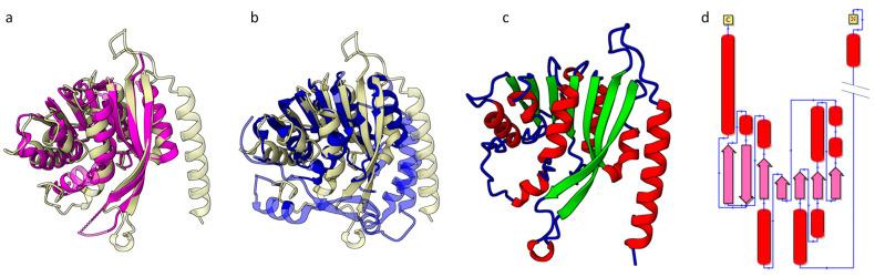 https://cdn.ncbi.nlm.nih.gov/pmc/blobs/c9bc/11678601/1e8008a7c7ab/ijms-25-13654-g007.jpg