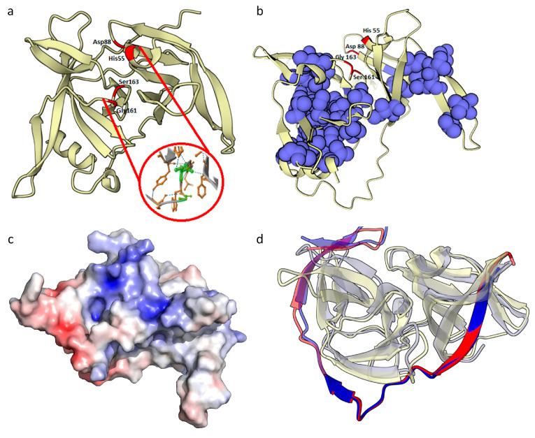 https://cdn.ncbi.nlm.nih.gov/pmc/blobs/c9bc/11678601/972b8c2c5f4f/ijms-25-13654-g003.jpg