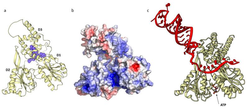 https://cdn.ncbi.nlm.nih.gov/pmc/blobs/c9bc/11678601/a294b2b90736/ijms-25-13654-g005.jpg