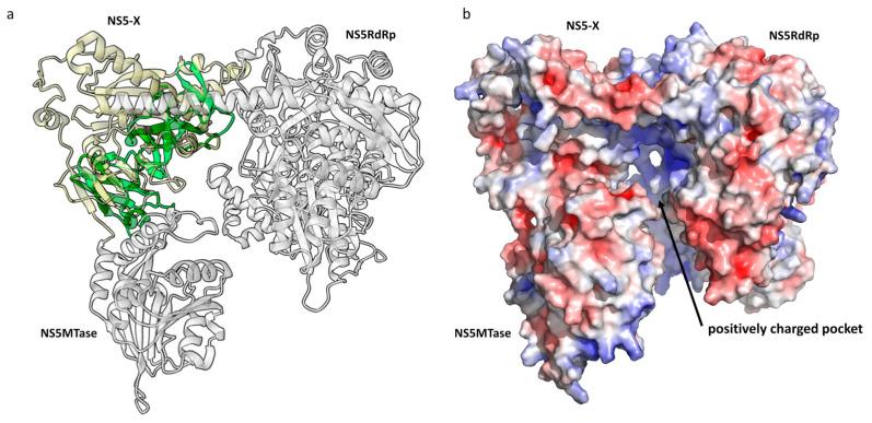 https://cdn.ncbi.nlm.nih.gov/pmc/blobs/c9bc/11678601/ec366753ccc8/ijms-25-13654-g008.jpg