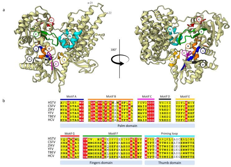 https://cdn.ncbi.nlm.nih.gov/pmc/blobs/c9bc/11678601/f053f9152114/ijms-25-13654-g006.jpg