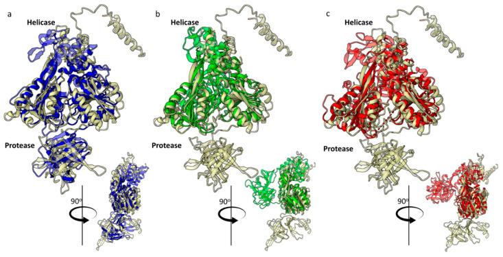 https://cdn.ncbi.nlm.nih.gov/pmc/blobs/c9bc/11678601/fb09b41e9f2b/ijms-25-13654-g002.jpg
