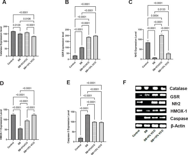 https://cdn.ncbi.nlm.nih.gov/pmc/blobs/c9bd/11017850/f827b7d670fd/IJBMS-27-543-g002.jpg
