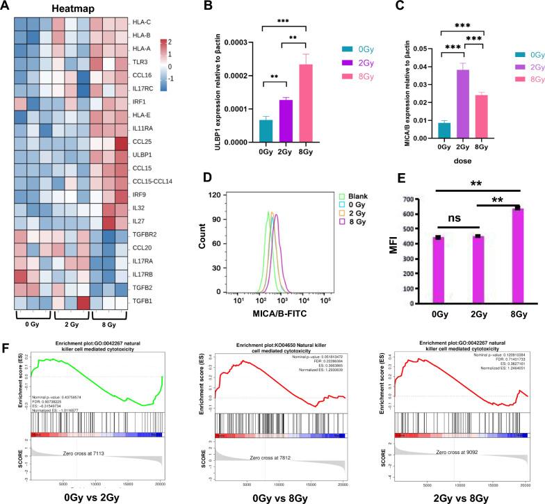 https://cdn.ncbi.nlm.nih.gov/pmc/blobs/c9bd/11472550/d305a123c3b7/12967_2024_5724_Fig5_HTML.jpg