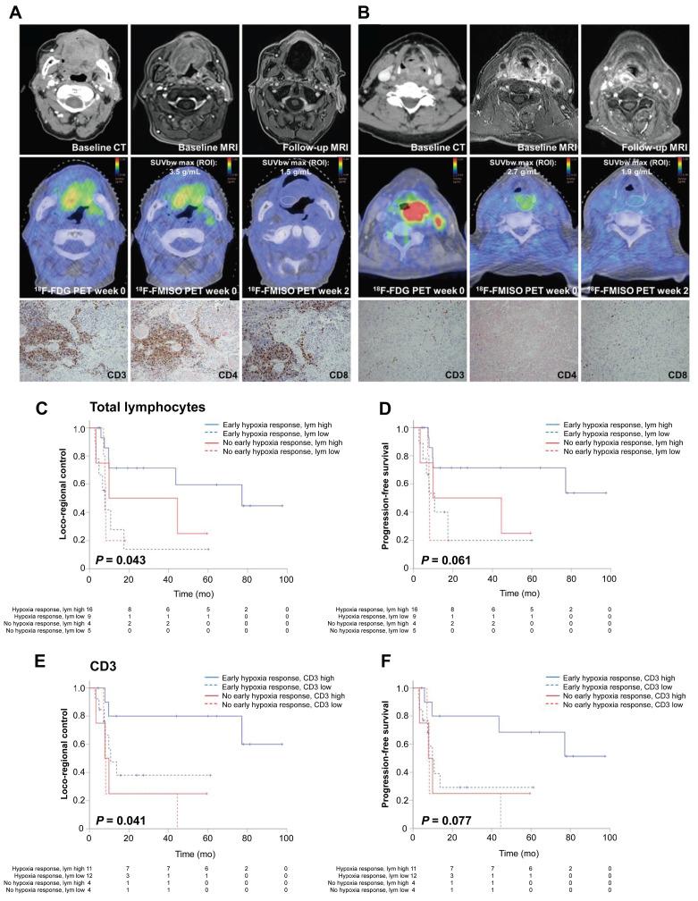 https://cdn.ncbi.nlm.nih.gov/pmc/blobs/c9bd/12374539/1f99a7d63c7e/thnov15p8012g005.jpg