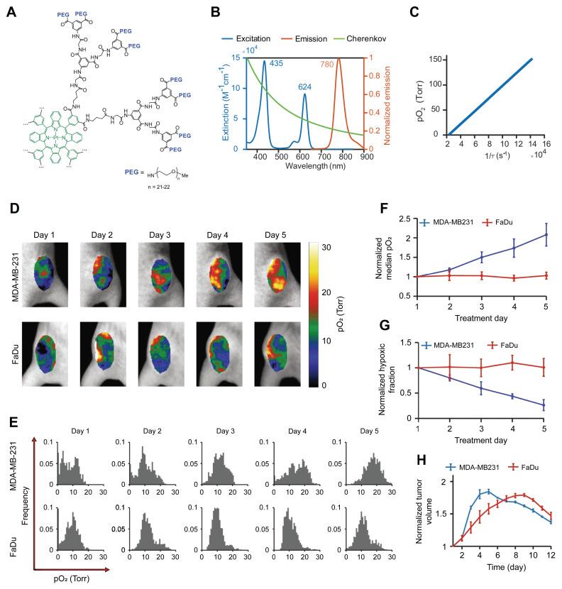 https://cdn.ncbi.nlm.nih.gov/pmc/blobs/c9bd/12374539/db87b62d6d48/thnov15p8012g003.jpg