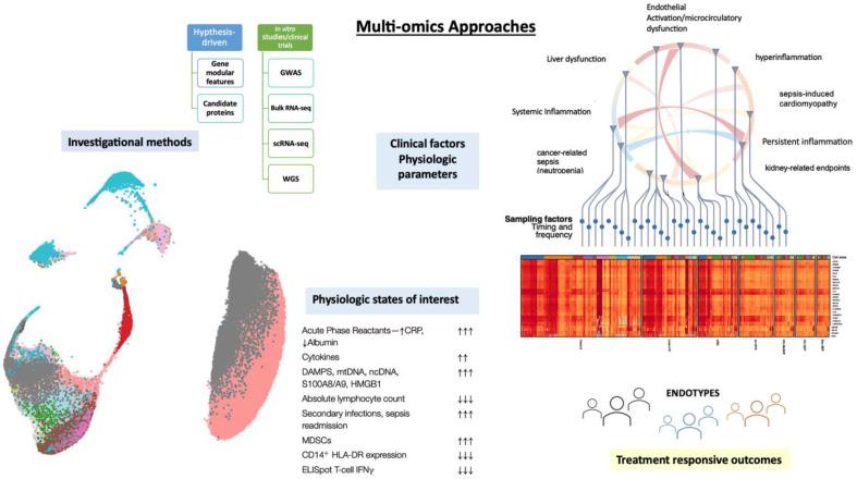 https://cdn.ncbi.nlm.nih.gov/pmc/blobs/c9be/10221354/dfe1aadeb2f7/microorganisms-11-01119-g001.jpg