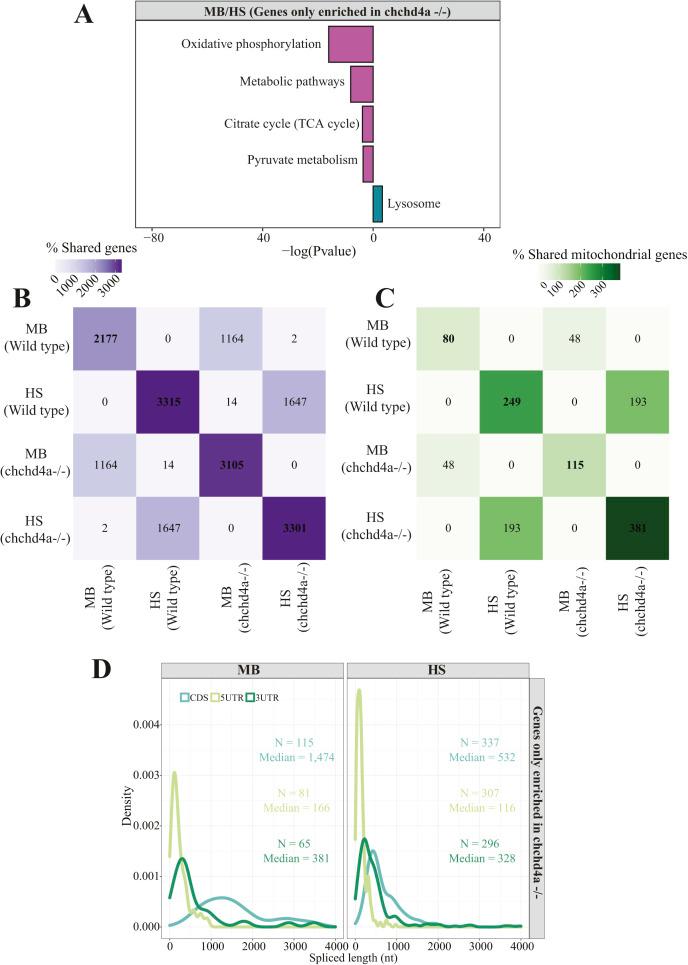 https://cdn.ncbi.nlm.nih.gov/pmc/blobs/c9be/9595208/a8780ad12c0f/LSA-2022-01514_FigS13.jpg