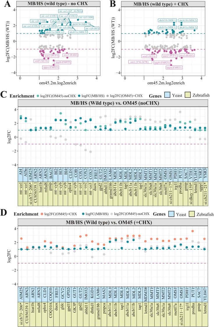 https://cdn.ncbi.nlm.nih.gov/pmc/blobs/c9be/9595208/e0f13dbc238f/LSA-2022-01514_FigS4.jpg